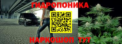 молекула духа Лесосибирск