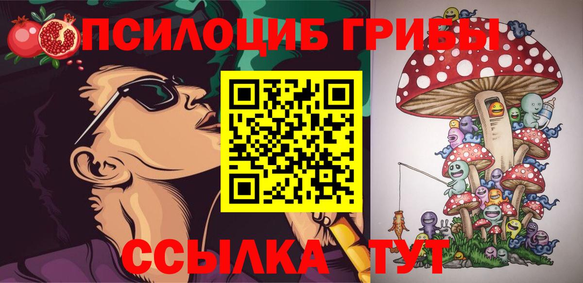 Псилоцибиновые грибы мухоморы  Вход с VPN  Зерноград 