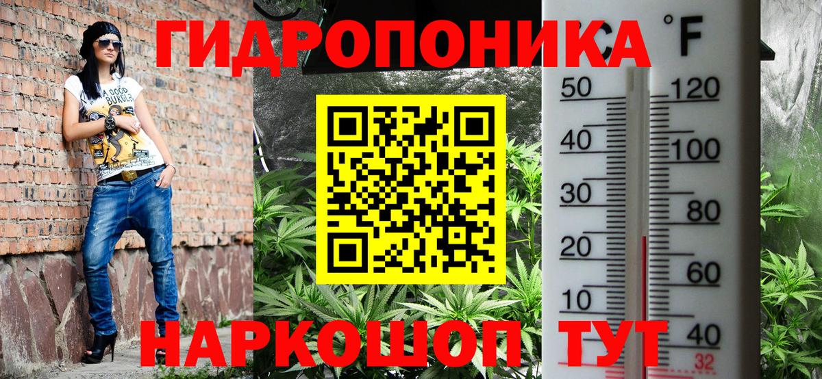 Бошки Шишки White Widow  Бошки марихуана LSD WEED  МАРИХУАНА ГИДРОПОН  Зерноград  Каннабис сатива  Вход с VPN 